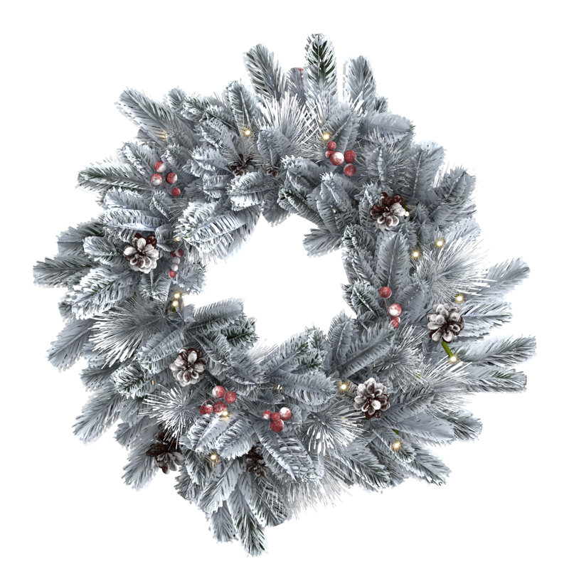 Anisia Faux Lighted Plastic 60cm Wreath