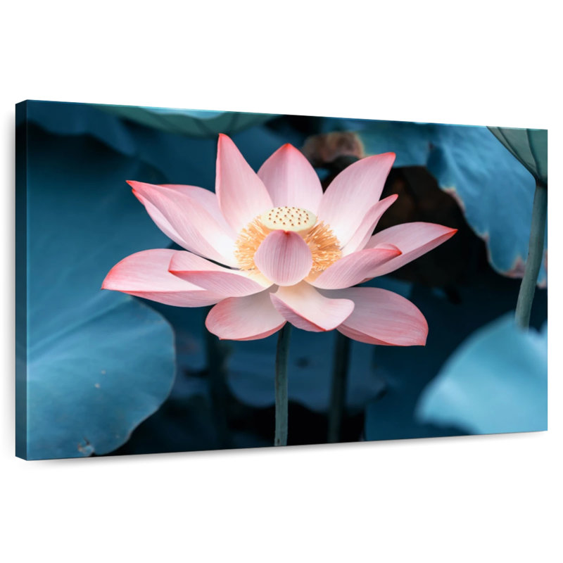 Harnek Lotus envoûtant, H 34 po x l 51 po