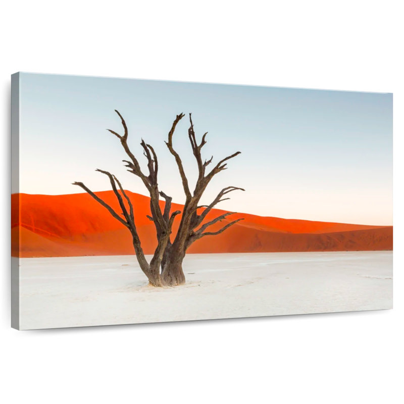 Harnek Deadvlei Bare Camel Thorn Tree