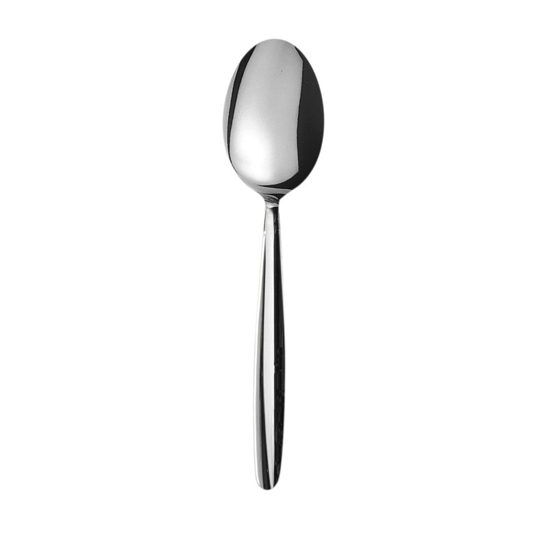 Acqua Stainless Steel Serving Spoon