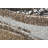 Thurner RD 63436-9283 CREAM/MOCHA-786813261