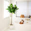 5 pi. Petit ficus artificiel Audrey