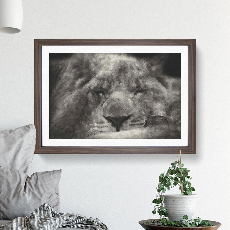 Lion Vol.2 - Picture Frame Graphic Art, 27cm H x 36cm W x 2cm D, Walnut Framed