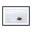 Base Print by Shawn Thomas-48615750-48615749