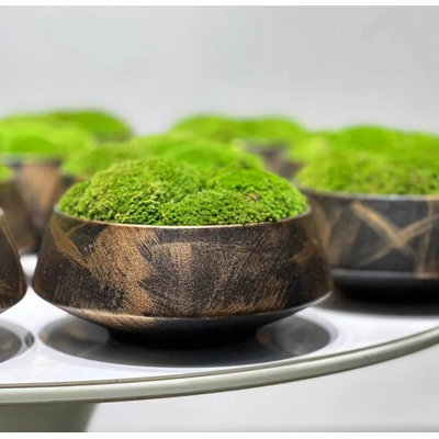 Simulated Green Plants, Immortal Plants, Moss Potted Tabletop Ornaments