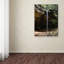 Cattima «Ash Cave Falls Hocking Hills Ohio», reproduction de photo sur toile tendue-22673018
