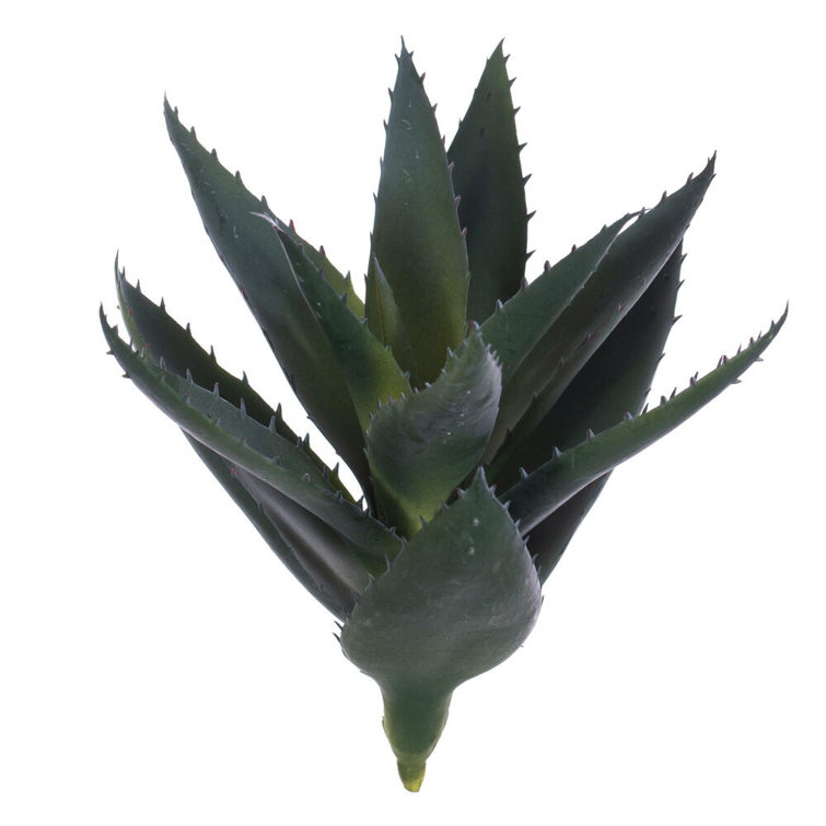 Vickerman 11.5'' Faux Aloe Succulent | Wayfair