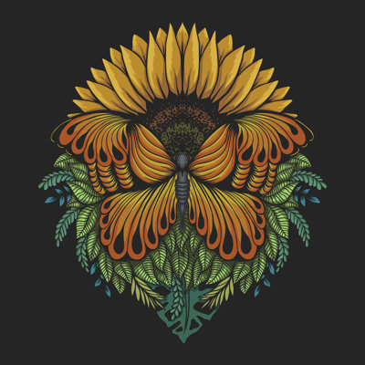 Sami Butterfly Vector Illustration 1 Piece Wrapped Canvas Wall Art