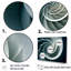 Turquoise coquille spirale de poisson sur toile-97045367-97045363