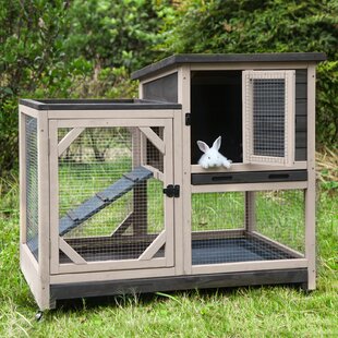 Small Animal Cages & Hutches