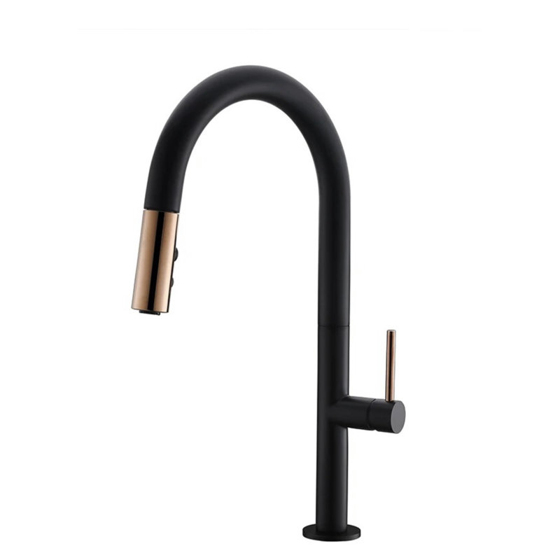 Robinet de cuisine laiton avec douchette extractible, Noir
