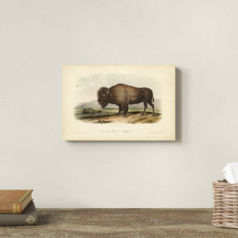Bison d'Amérique, H 8 po x l 12 po x P 1,25 po