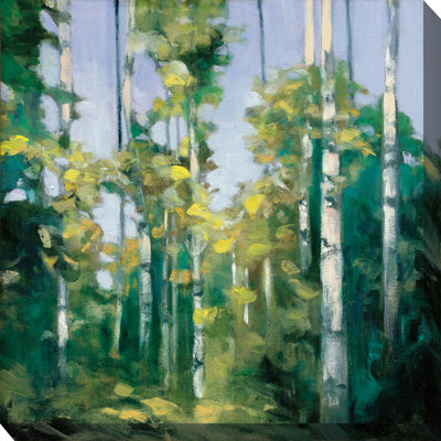 Art mural sur toile Creek