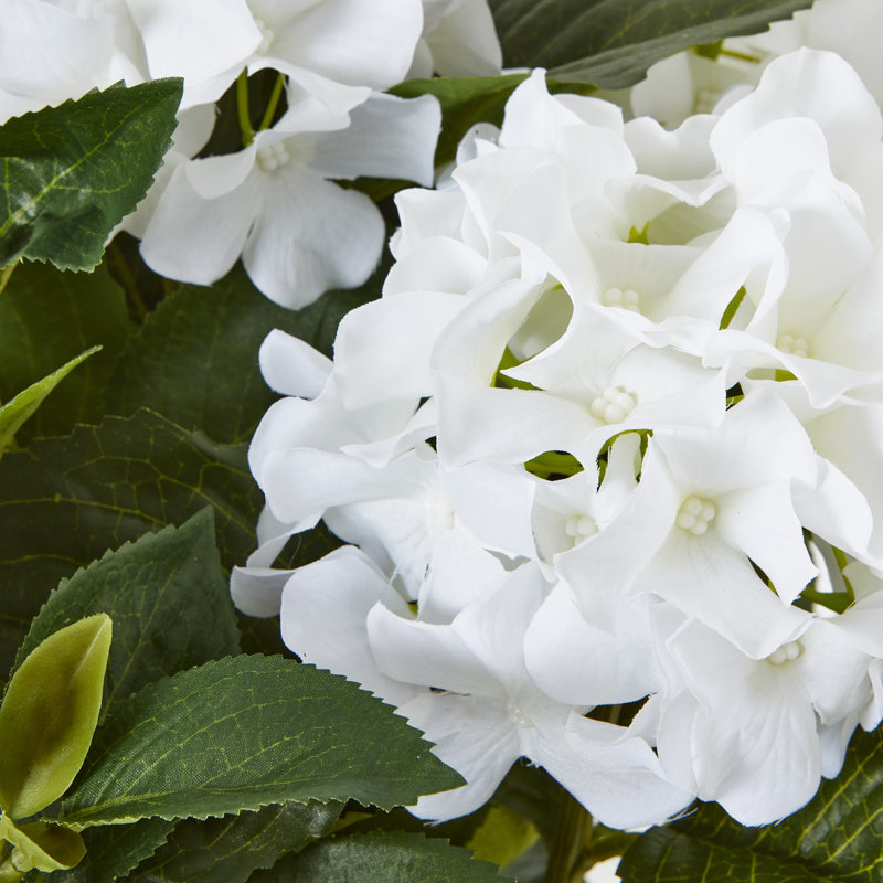 Hydrangea Arrangement in Pot, 64cm H x 50cm W x 50cm D
