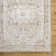 Janiaha Oriental Indoor Rug