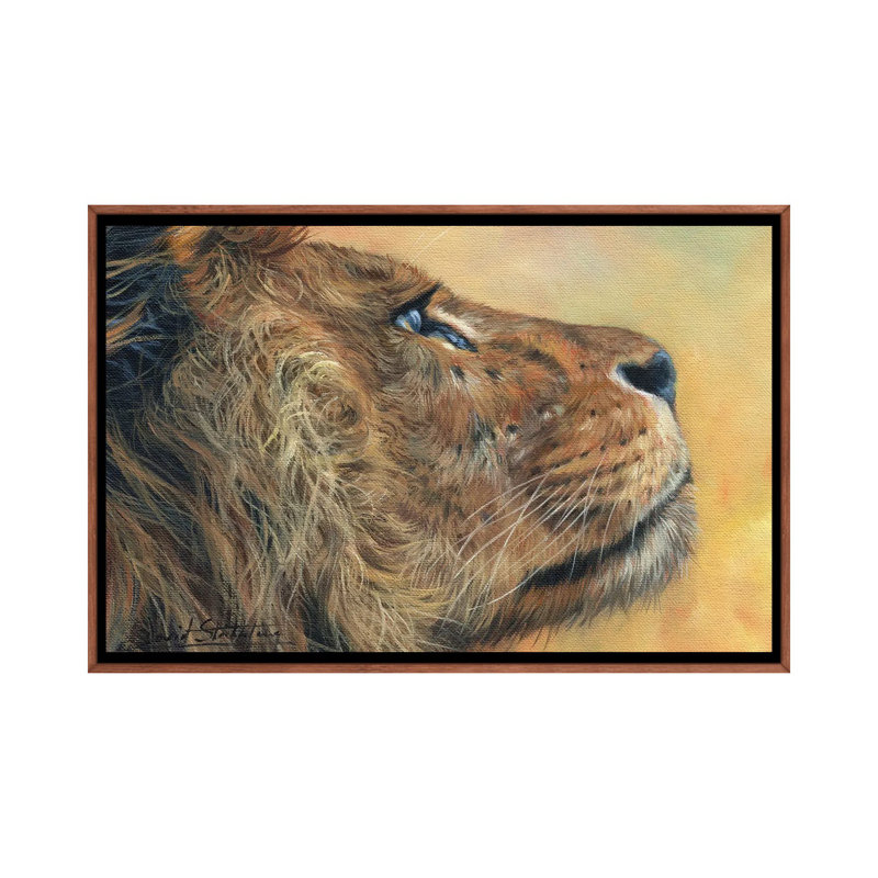 Lion Profile by David Stribbling - Print on Canvas, Brown Framed, 101.6 cm H x 66.04 cm W