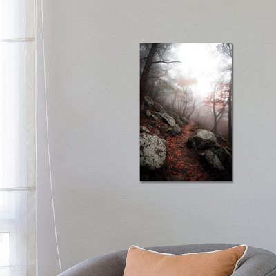 Moody Forest 1 Piece Wrapped Canvas Wall Art