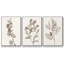 Étude de botanique neutre I 3 pièces-532477121-532477120