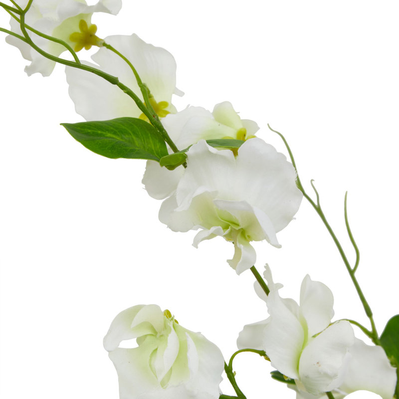 Anastasija Arrangement, White