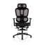 Lynnzee Office Chair with Headrest