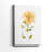 Bright Botanical II -Gallery Wrapped Cavas-333882726
