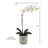 22" Artificial White Phalaenopsis Orchids