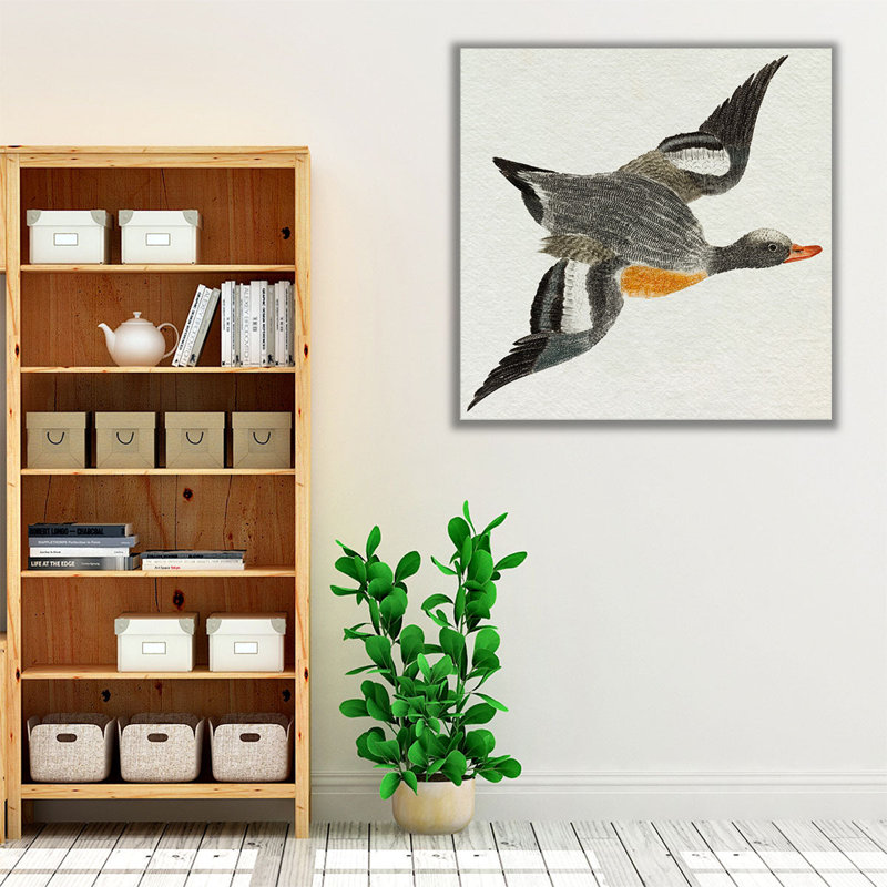 Flying Ducks I - reproduction d'art sur toile, H 24 po x l 24 po