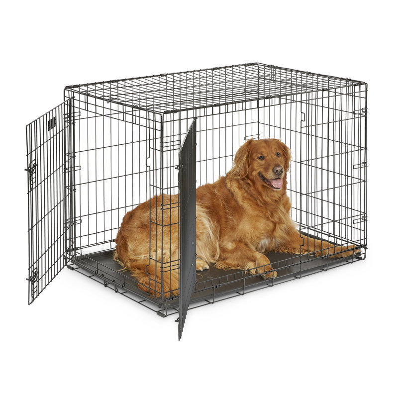 MidWest Homes for Pets Double Door iCrate, Large (31" H x 29" W x 43" D)