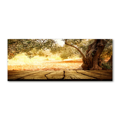 Olive Tree - Wrapped Canvas Print