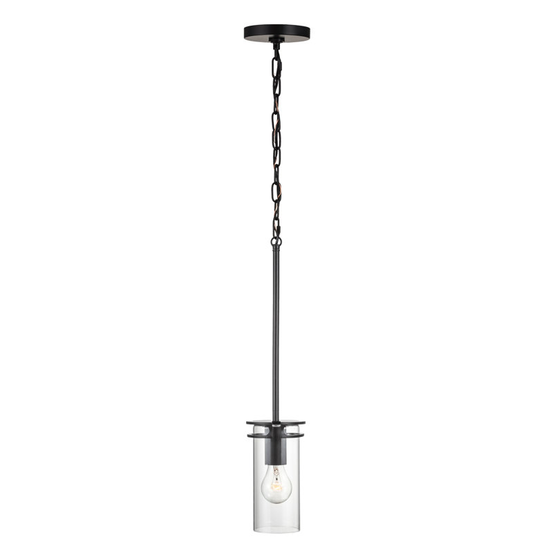 Luminaire suspendu transitionnel 1 lumière Devonshire, Noir mat