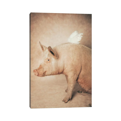 Babe With Wings by Rachael Hale - Print on Canvas