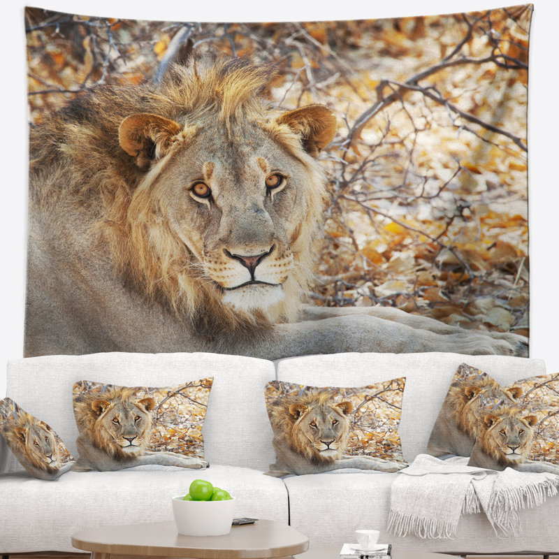 Lion solitaire africain se reposant dans une tapisserie forestière, H 68 po x l 80 po