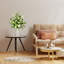 Jets de roses-86731922