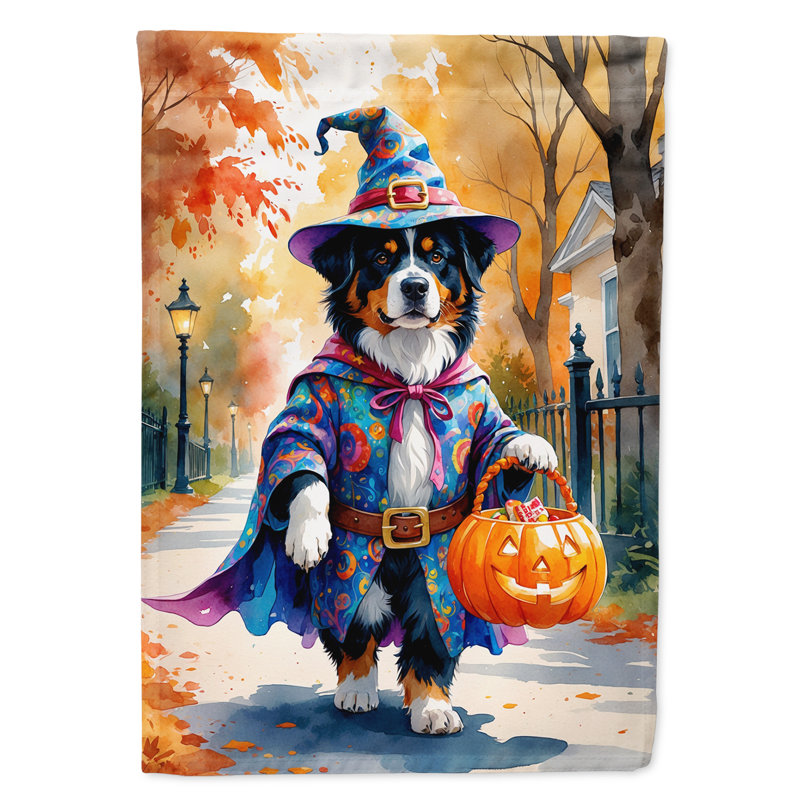 Drapeau de maison Weimaraner, Bouvier bernois