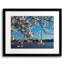 Full Bloom Print by Scott Wurzel-65789211-65789213