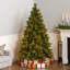 Carolina Flocked/Frosted Christmas Tree-1687330704