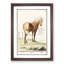 Horse by A.B. de Boodt - Picture Frame Painting Print-55579907-55579908