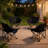 Folding Camping Chair-1395345988