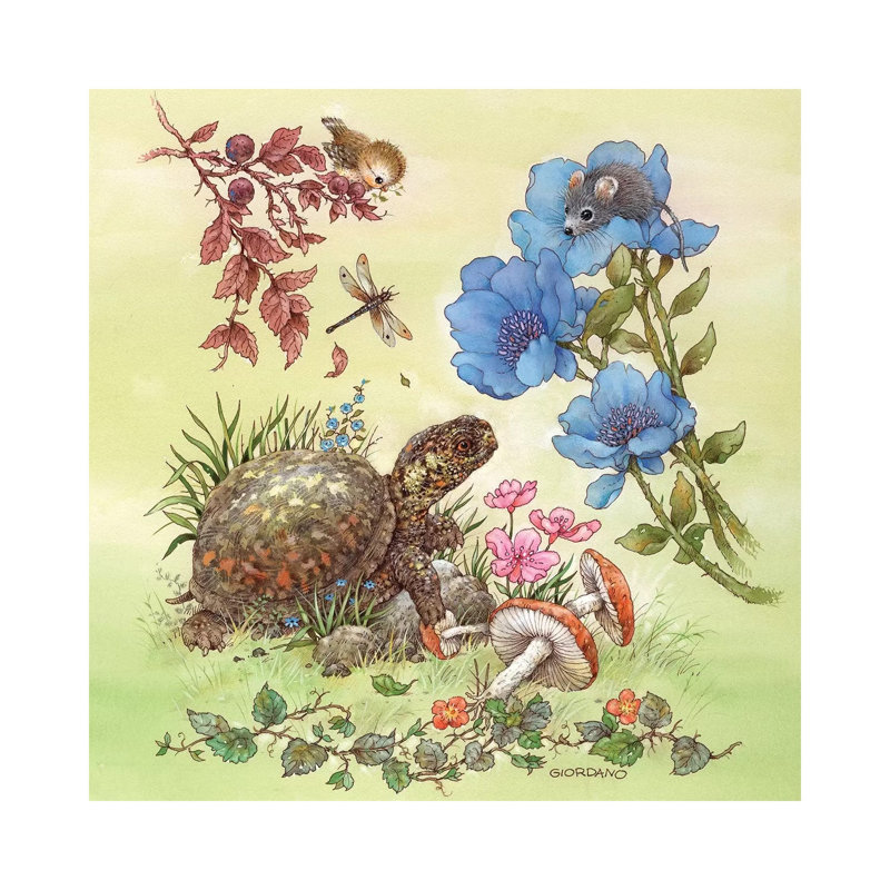 Backyard Critters by Giordano Studios - Wrapped Canvas Gallery-Wrapped Canvas Giclée, 30.48 cm H x 30.48 cm W