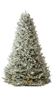 Sapin de Noël enneigé blanc pré-éclairé