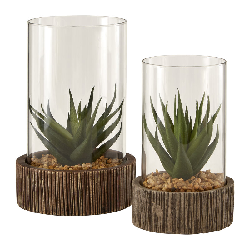 Sprague Succulent in Stone Jar, 17cm H x 10cm W x 10cm D, Brown