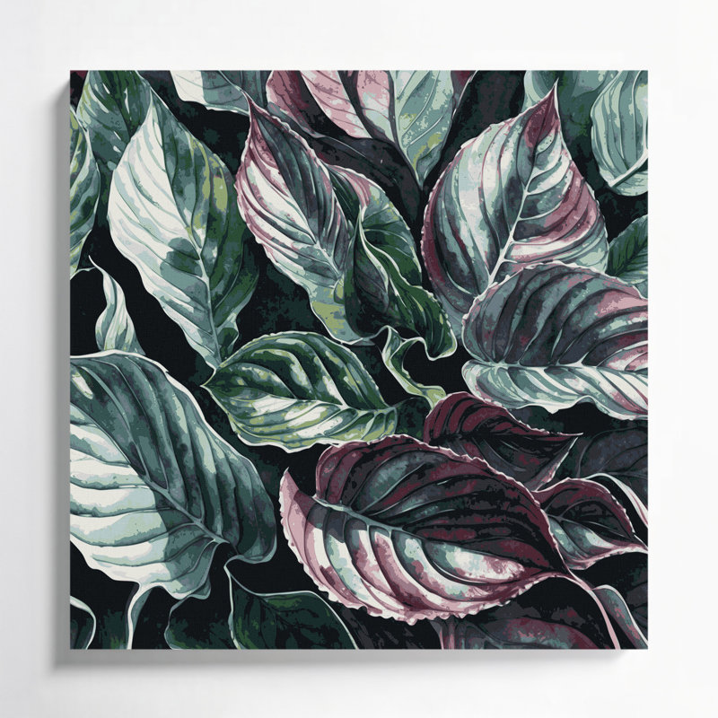 Art botanique sur toile noir Bégonia Rex, H 16 po x l 16 po
