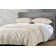 Cascade Quilt Set