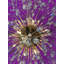 Lustre en cristal Luxe Starburst-200729696-200729699-264115064