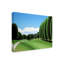 «Poplars» par Etelca, impression sur toile tendue-27643362