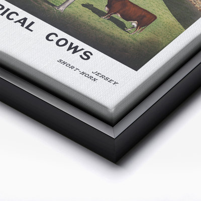 Typical Cows