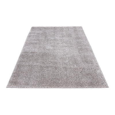 Brijin Solid Colour Hand Woven Area Rug