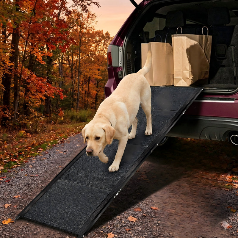 Rampe pour chien 71 pouces de long par 19,7 pouces de large, extra large et longue pour voiture utilitaire sport