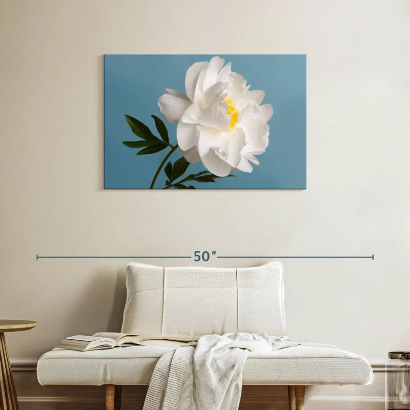Fleurs de pivoine blanche, H 24 po x l 36 po