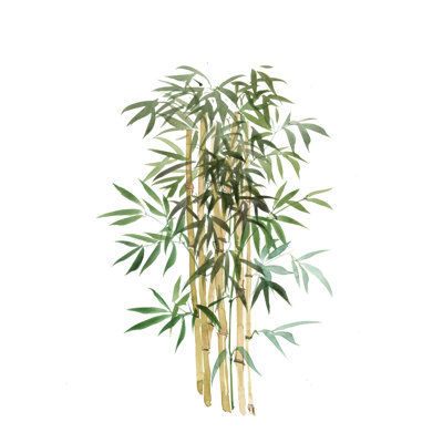Spa and Zen Bamboo 2 - Impression sur toile tendue